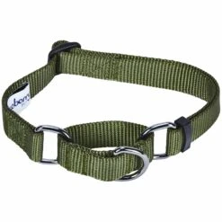 Nylon Personalized Martingale Safety Training Dog Collar Green -Dog & Cat Store 1040896048 2 218c26af b3a8 4814 9bd8 9b6c95fe2060