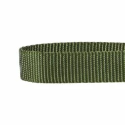 Nylon Personalized Martingale Safety Training Dog Collar Green -Dog & Cat Store 1040896048 3 b45abfc0 8abf 4238 afff 9d89aabf991a