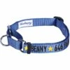 Nylon Personalized Martingale Safety Training Dog Collar Blue -Dog & Cat Store 1040897045 1 1