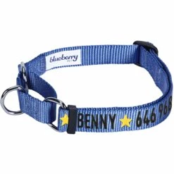 Nylon Personalized Martingale Safety Training Dog Collar Blue