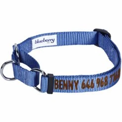 Nylon Personalized Martingale Safety Training Dog Collar Blue -Dog & Cat Store 1040897045 1 a0f04bed d50a 4cd3 8857 f2dd98af195c
