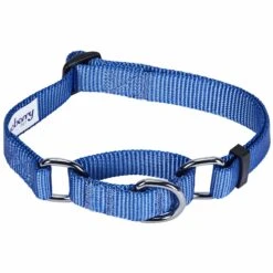 Nylon Personalized Martingale Safety Training Dog Collar Blue -Dog & Cat Store 1040897045 2 bc771571 b6c4 45e9 b405 810c95bdc641