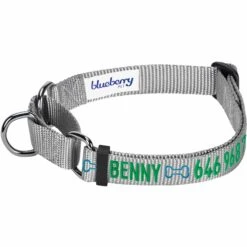 Nylon Personalized Martingale Safety Training Dog Collar Black