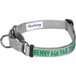 Nylon Personalized Martingale Safety Training Dog Collar Black -Dog & Cat Store 1040898042 1 267f3614 fc97 46c3 bc5d ad794b3f16f1