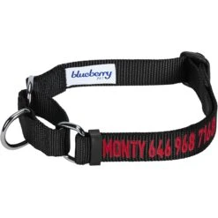 Nylon Personalized Martingale Safety Training Dog Collar Black -Dog & Cat Store 1040899049 1 484cf03f a89f 4655 b9dd 9a99a52aac5c