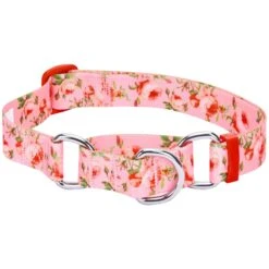 Petal Paws Floral Martingale Safety Training Dog Collar -Dog & Cat Store 1040912021 1
