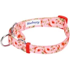 Petal Paws Floral Martingale Safety Training Dog Collar -Dog & Cat Store 1040912021 2
