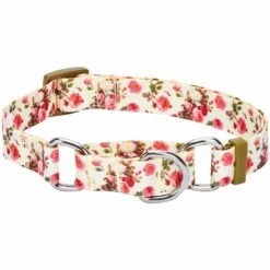 Petal Paws Floral Martingale Safety Training Dog Collar