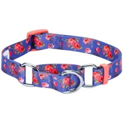 Petal Paws Floral Martingale Safety Training Dog Collar -Dog & Cat Store 1040917026 1