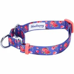 Petal Paws Floral Martingale Safety Training Dog Collar -Dog & Cat Store 1040917026 2