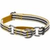 3M Reflective Martingale Safety Training Dog Collar In Multi-colored Stripes -Dog & Cat Store 1040919044 1 b57dccd1 4035 4413 a64f 7e27080ccc4d