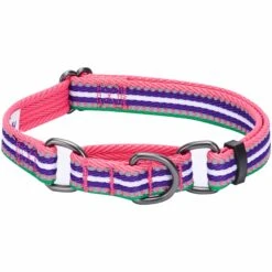 3M Reflective Martingale Safety Training Dog Collar In Multi-colored Stripes -Dog & Cat Store 1040920040 1