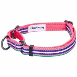 3M Reflective Martingale Safety Training Dog Collar In Multi-colored Stripes -Dog & Cat Store 1040920040 2