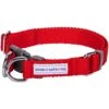 Dogs & Cats & Co. Double D-Ring Classic Chic Dog Collar 40 Dogs & Cats & Co. Double D-Ring Classic Chic Dog Collar -Dog & Cat Store 1040926042 1