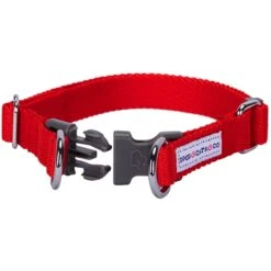 Dogs & Cats & Co. Double D-Ring Classic Chic Dog Collar -Dog & Cat Store 1040926042 3