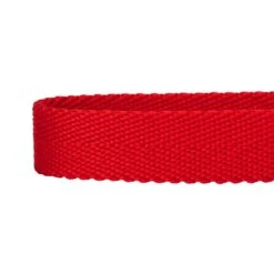 Dogs & Cats & Co. Double D-Ring Classic Chic Dog Collar -Dog & Cat Store 1040926042 4