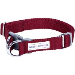 Dogs & Cats & Co. Double D-Ring Classic Chic Dog Collar -Dog & Cat Store 1040927049 1 6f983984 239d 4f45 866f 895927a5d076