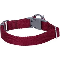 Dogs & Cats & Co. Double D-Ring Classic Chic Dog Collar -Dog & Cat Store 1040927049 2 a2b56554 207a 4daf bfcd 98d4e83206ab