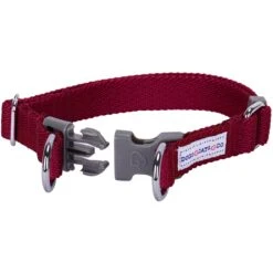 Dogs & Cats & Co. Double D-Ring Classic Chic Dog Collar -Dog & Cat Store 1040927049 3 f02a348f bf31 47fe 8397 8dd8fdc6bc7e
