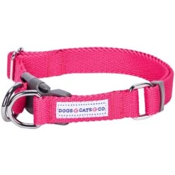 Dogs & Cats & Co. Double D-Ring Classic Chic Dog Collar -Dog & Cat Store 1040928046 1