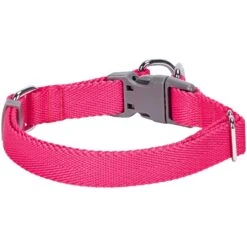 Dogs & Cats & Co. Double D-Ring Classic Chic Dog Collar -Dog & Cat Store 1040928046 2