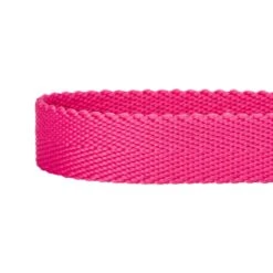 Dogs & Cats & Co. Double D-Ring Classic Chic Dog Collar -Dog & Cat Store 1040928046 4