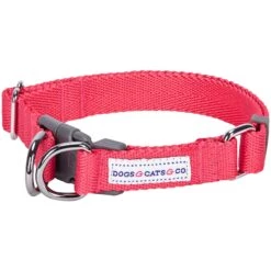 Dogs & Cats & Co. Double D-Ring Classic Chic Dog Collar -Dog & Cat Store 1040929043 1