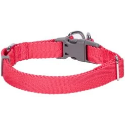 Dogs & Cats & Co. Double D-Ring Classic Chic Dog Collar -Dog & Cat Store 1040929043 2