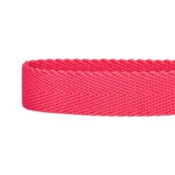 Dogs & Cats & Co. Double D-Ring Classic Chic Dog Collar -Dog & Cat Store 1040929043 4