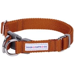 Dogs & Cats & Co. Double D-Ring Classic Chic Dog Collar -Dog & Cat Store 1040934047 1