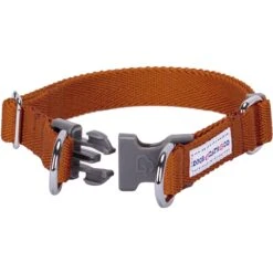 Dogs & Cats & Co. Double D-Ring Classic Chic Dog Collar -Dog & Cat Store 1040934047 3