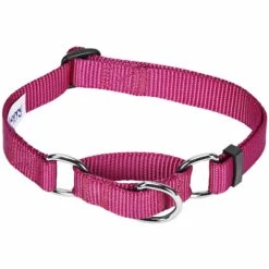 Martingale Safety Training Dog Collar, Purple For Control -Dog & Cat Store 1040948044 1