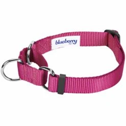 Martingale Safety Training Dog Collar, Purple For Control -Dog & Cat Store 1040948044 2
