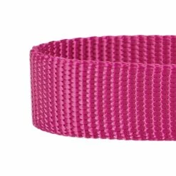 Martingale Safety Training Dog Collar, Purple For Control -Dog & Cat Store 1040948044 3