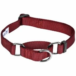Martingale Safety Training Dog Collar, Pink/Red For Pets -Dog & Cat Store 1040949041 1