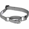 Martingale Safety Training Dog Collar, Grey/Black Design -Dog & Cat Store 1040952041 1