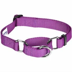 Martingale Safety Training Dog Collar, Purple For Control -Dog & Cat Store 1040954045 1