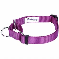 Martingale Safety Training Dog Collar, Purple For Control -Dog & Cat Store 1040954045 2