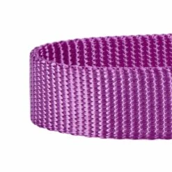 Martingale Safety Training Dog Collar, Purple For Control -Dog & Cat Store 1040954045 3