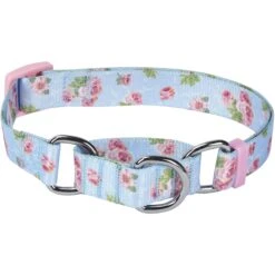 Petal Paws Floral Martingale Safety Training Dog Collar -Dog & Cat Store 1040955042 1