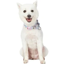 Petal Paws Floral Martingale Safety Training Dog Collar -Dog & Cat Store 1040955042 2