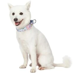 Petal Paws Floral Martingale Safety Training Dog Collar -Dog & Cat Store 1040955042 3