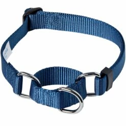 Nylon Personalized Martingale Safety Training Dog Collar Blue -Dog & Cat Store 1040956049 1 998c077d 2091 46c3 a7e2 1ef0f2179ef2