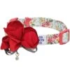 Dogs & Cats & Co. A Scent Of Spring Balloon Flower Dog Collar