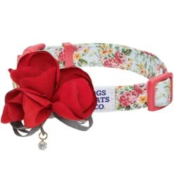 Dogs & Cats & Co. A Scent Of Spring Balloon Flower Dog Collar