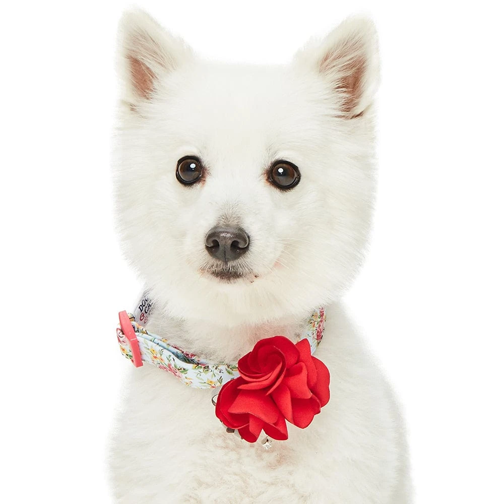 Dogs & Cats & Co. A Scent Of Spring Balloon Flower Dog Collar 3 Dogs & Cats & Co. A Scent Of Spring Balloon Flower Dog Collar - Image 3
