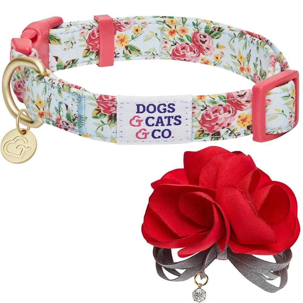Dogs & Cats & Co. A Scent Of Spring Balloon Flower Dog Collar 4 Dogs & Cats & Co. A Scent Of Spring Balloon Flower Dog Collar - Image 4