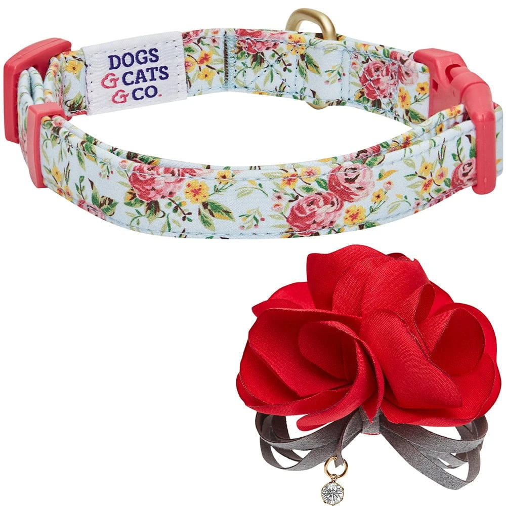 Dogs & Cats & Co. A Scent Of Spring Balloon Flower Dog Collar 5 Dogs & Cats & Co. A Scent Of Spring Balloon Flower Dog Collar - Image 5