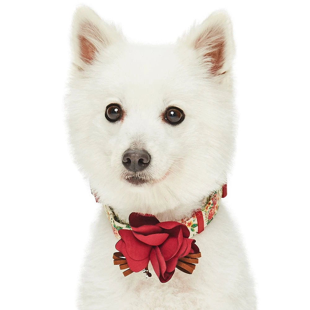 Dogs & Cats & Co. A Scent Of Spring Balloon Flower Dog Collar 9 Dogs & Cats & Co. A Scent Of Spring Balloon Flower Dog Collar - Image 9