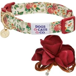 Dogs & Cats & Co. A Scent Of Spring Balloon Flower Dog Collar 29 Dogs & Cats & Co. A Scent Of Spring Balloon Flower Dog Collar -Dog & Cat Store 1041006040 4